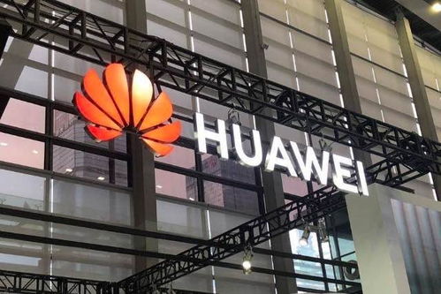 华为落子内蒙古，成立云计算公司深化装备技术服务布局